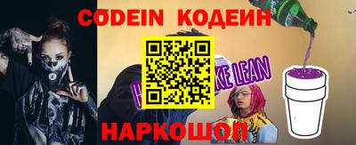 индика Сланцы