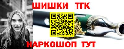 индика Сланцы