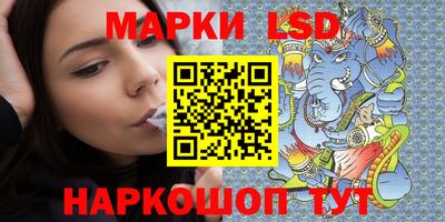 индика Сланцы
