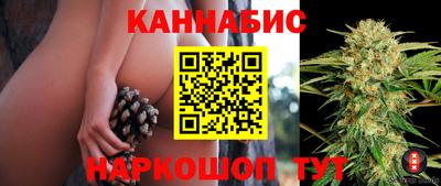 индика Сланцы