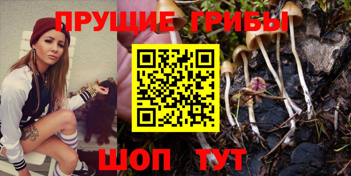 Псилоцибиновые грибы Psilocybe  Вход с VPN  Азнакаево 