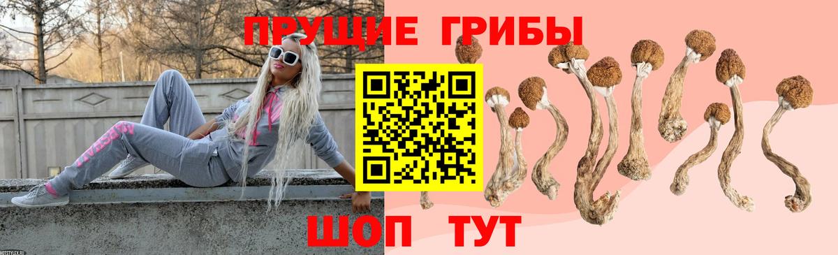 Галлюциногенные грибы Psilocybe Азнакаево